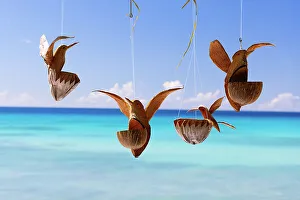 Blue Prints: Barbados, hanging souvenirs made out of coconuts