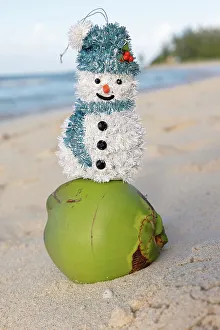 Christmastide Prints: Barbados, snowman on top of a coconut at the beach