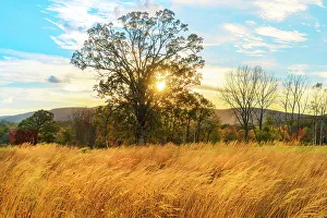 Majestic Prints: Beautiful nature scene of mountains, sky, and trees