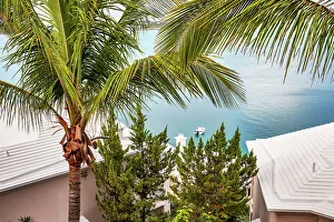 Harbor Prints: Bermuda, Castle Harbor views with palm trees and buildings iconic white rooftops