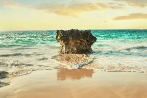 Bermuda, Elbow Beach Resort & Spa, view Of beach