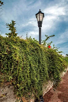 Island Prints: Bermuda, Saint George, Wall covered in vegetation and Street Lamp