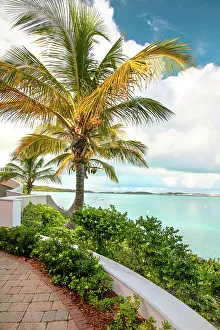 Atlantic Prints: Bermuda, South Shore, view of boats and aquamarine ocean with palm tree