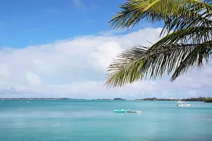 Rich Prints: Bermuda, South Shore, View of boats in cerulean ocean, and palm tree in the foreground