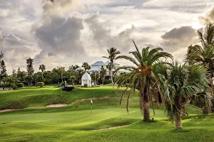 Island Prints: Bermuda, View of emerald green Golf Course with palm trees