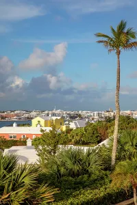 Harbor Prints: Bermuda, view of the Harbor, and buildings with iconic white rooftops