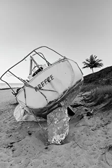 Atlantic Prints: Boat wreck on beach with palm tree in background