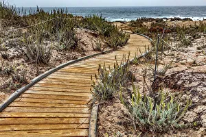 Coast Prints: California, Big Sur, Andrew Molera State Park, Andrew Molera Beach