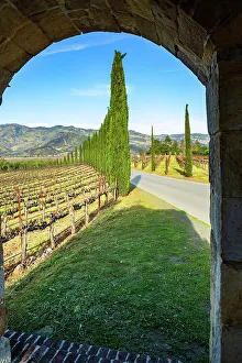 California, Calistoga, Napa Valley, Castello di Amarosa Winery
