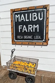 County Prints: California, Los Angeles County, Malibu, Malibu Farm