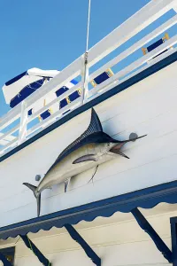 County Prints: California, Los Angeles County, Malibu, swordfish