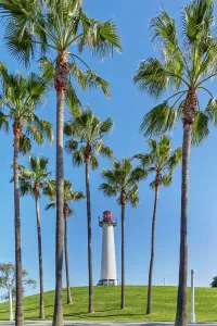 Harbor Prints: California, Los Angeles, Venice Beach