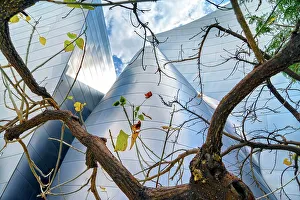 Icon Prints: California, Los Angeles, Walt Disney Concert Hall