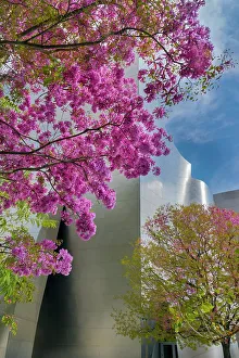 California, Los Angeles, Walt Disney Concert Hall