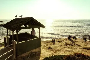 California, San Diego, La Jolla Beach