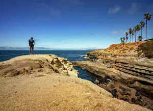 Water Front Prints: California, San Diego, Point Loma, Sunset Cliffs Coastal Trail, Linear Park