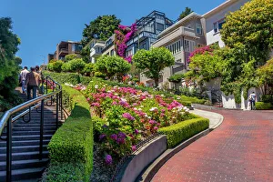 Blue Skies Prints: California, San Francisco, famous Lombard Street