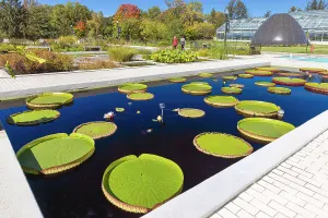 Canada, Quebec, Montreal, Montreal Botanical Garden
