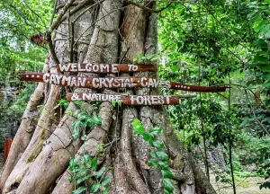 Trail Prints: Cayman Islands, Grand Cayman, Cayman Crystal Caves & Nature Forest