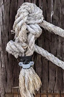 Fenced Prints: Closeup of nautical rope tied to wooden beam