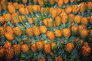 Images Dated 6th December 2023: Colombia, Bunch of Pineapples