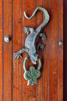 Vertical Prints: Colombia, Cartagena, door knocker in the shape of a lizard