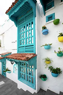 Vertical Prints: Colombia, Colorful Facade with Plant Pots on a wall in La Aldea (Colombian Santorini)