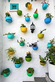 : Colombia, Colorful Plant Pots on a wall in La Aldea (Colombian Santorini)