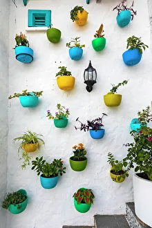 Vertical Prints: Colombia, Colorful Plant Pots on a wall in La Aldea (Colombian Santorini)