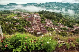 Tree Prints: Colombia, Jerico town and mountains