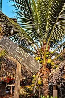 Vertical Prints: Colombia, La Guajira, Palomino, bar sign