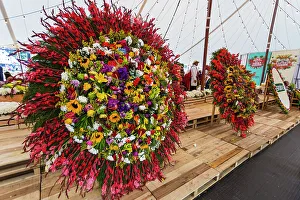 Rm271 Prints: Colombia, Medellin, Flower Festival, Silletas Display