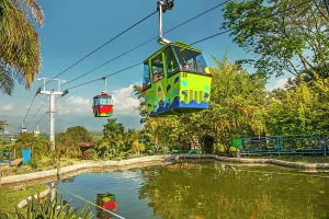Auto Prints: Colombia, Montenegro, Cable Car at Coffee Park