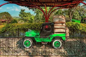 Auto Prints: Colombia, Montenegro, Jeep Willys with Load of Coffee Displayed at Coffee Park