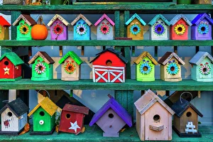 Colorful Prints: Colorful Bird houses