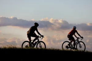 Bicycling Prints: Two cyclists silhouetted at sunset