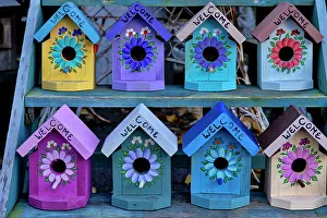 Shop Prints: Display of Colorful Bird houses for sale