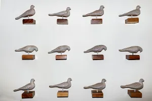 Rm306 Prints: Doves decorating wall