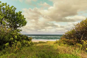 Atlantic Prints: Florida, Boca Raton, Beach