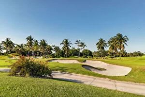 Images Dated 22nd May 2023: Florida, Boca Raton, golf course with palm trees
