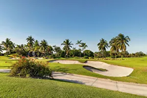 Falls Prints: Florida, Boca Raton, golf course with palm trees