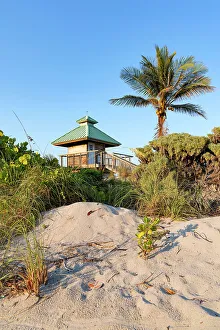Florida, Boca Raton, lifeguard tower with palm tree at the beach