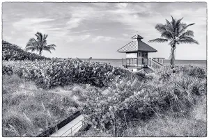 Florida, Boca Raton, lifeguard tower & palm tree on the beach