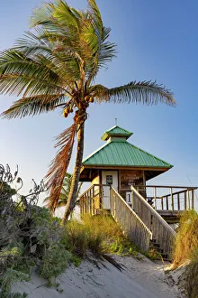 Florida, Boca Raton, lifeguard tower with palm tree at the beach