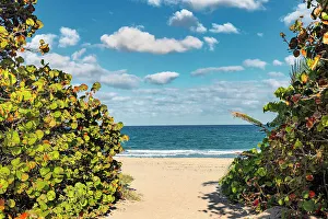Florida, Boca Raton, Red Reef Park, walkway to the beach