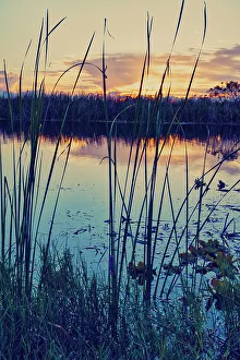 Florida, Boynton Beach, Arthur R. Marshall Loxahatchee National Wildlife Refuge