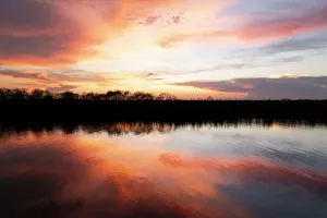 Florida, Boynton Beach, Arthur R. Marshall Loxahatchee National Wildlife Refuge