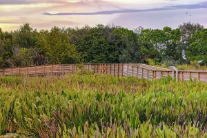 Florida, Boynton Beach, Green Cay Nature Center