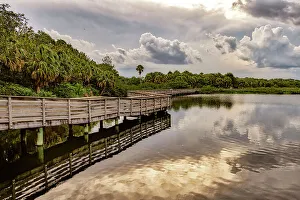 Florida, Boynton Beach, Green Cay Nature Center & Wetlands, wooden footpath