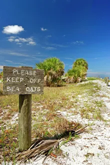 County Prints: Florida, Clearwater, Indian Rocks Beach, Signage